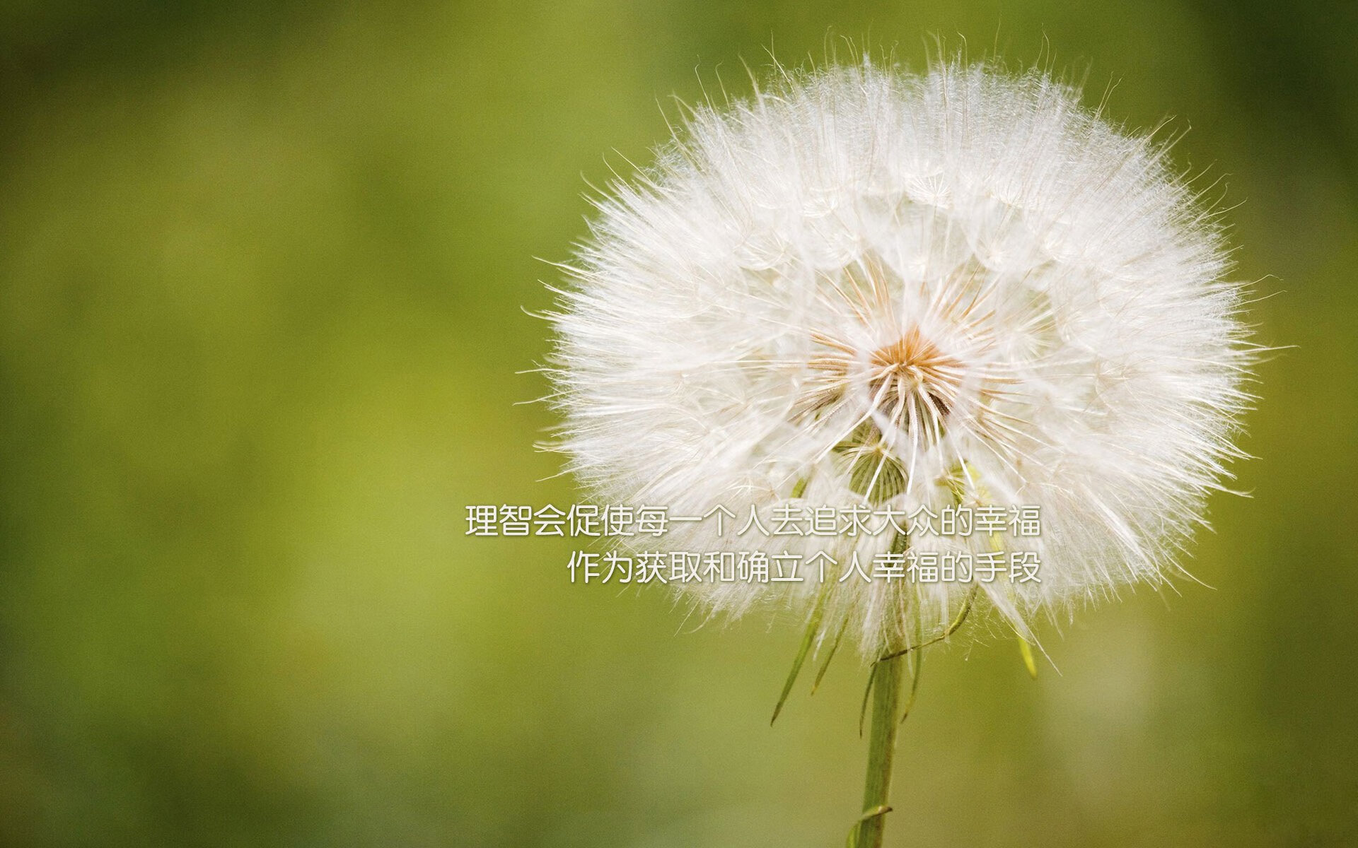 红牛车队在最后关头反超梅赛德斯