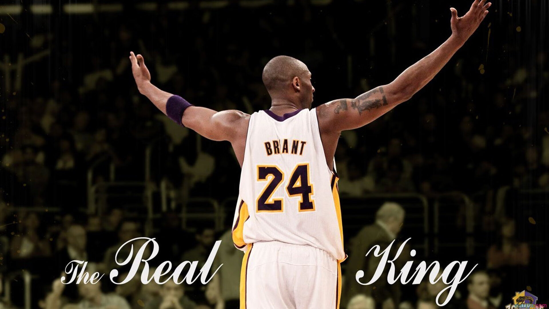 双星闪耀，西甲国家德比之夜与詹姆斯纪录之夜的体育交响