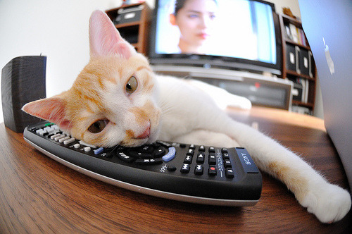 双重变奏，国家德比的喧嚣与冷门下的足球真理