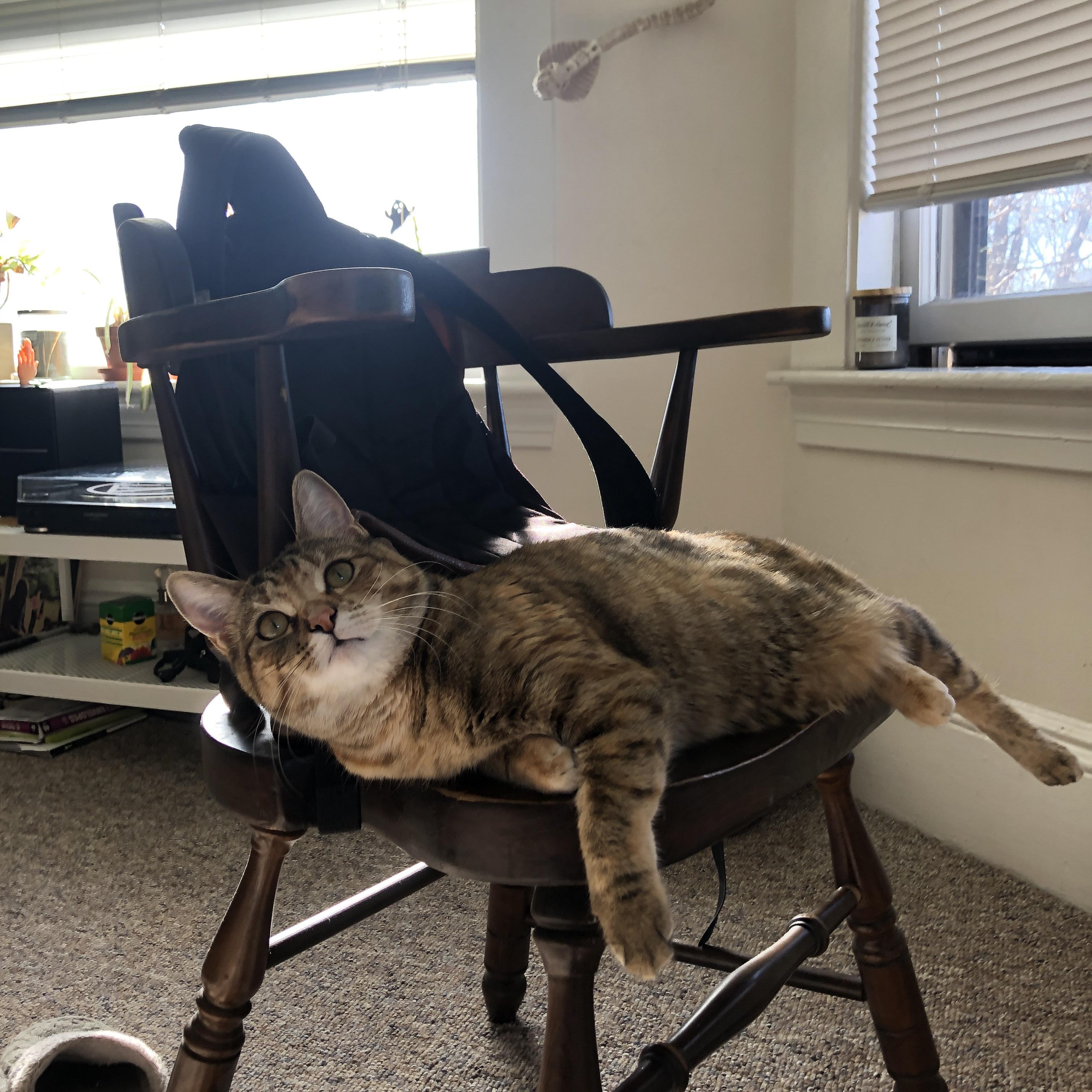 引力与离心力，当莫兰特撕裂上海队的轨道