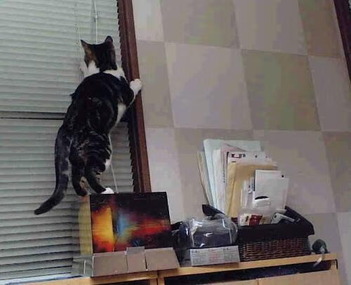 当詹姆斯用一记不合理的三分改写命运，深圳队学会了巨星与团队的最后一课