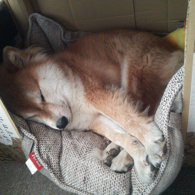 维尼修斯独舞伯纳乌，韩国铁血逆转突尼斯