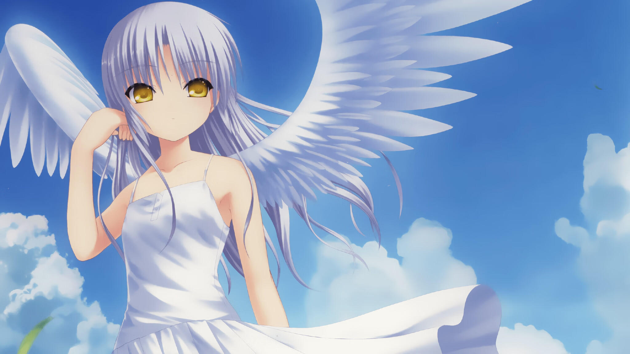 天山脚下起狼烟,当西域烈风席卷明尼苏达雪原