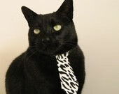 时空交错下的体育狂想，贝蒂斯足球队远征澳洲晋级传奇，拉什福德以足球魔法统治NBA总决赛