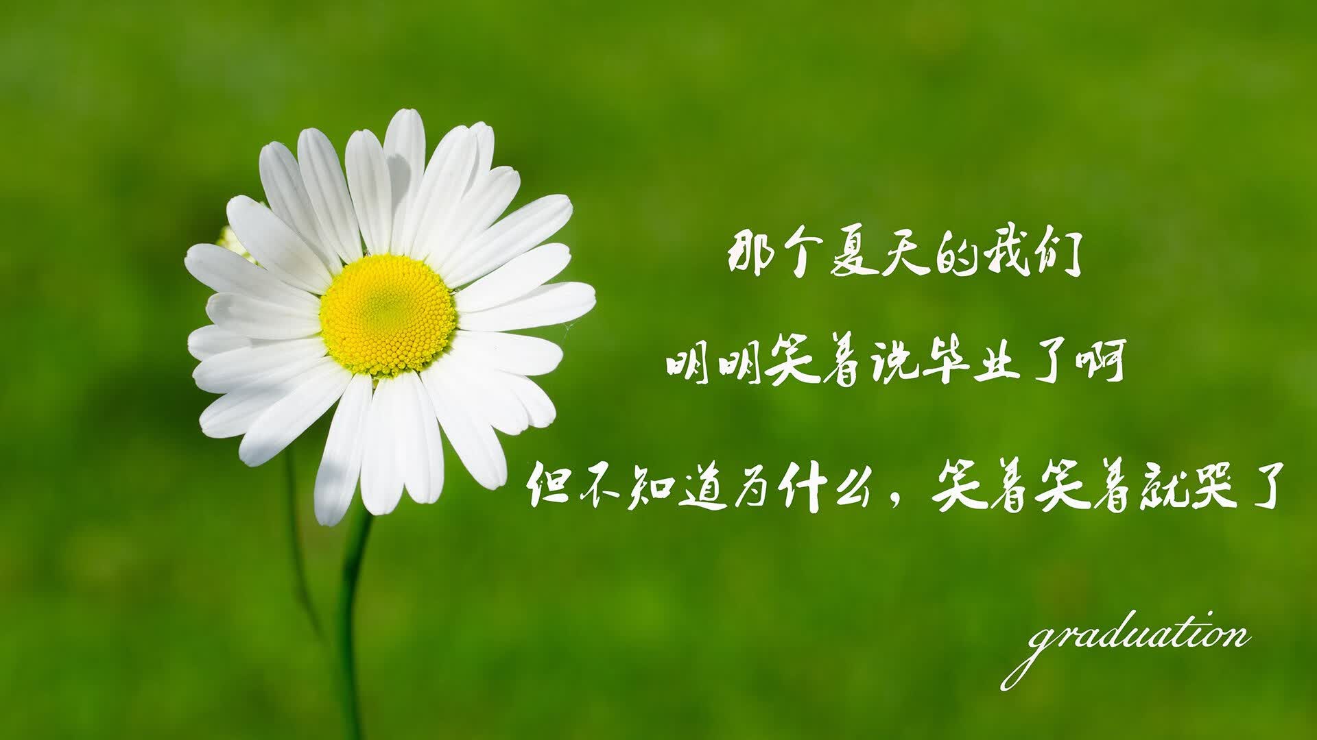冷门与温情,2026世界杯E组,泰国险胜葡萄牙,库尔图瓦的孤独英雄主义