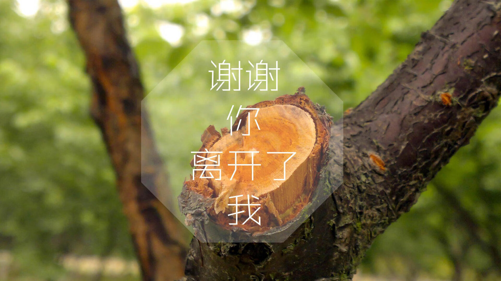 （备选）